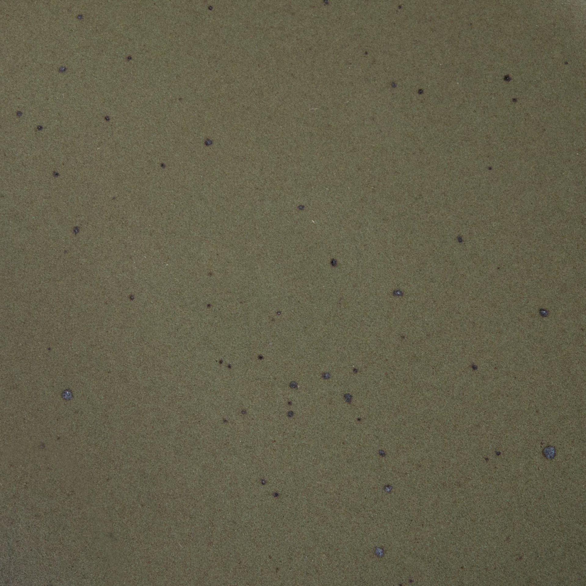A closeup of a ceramic plate in a muted woodsy green color featuring iron speckles