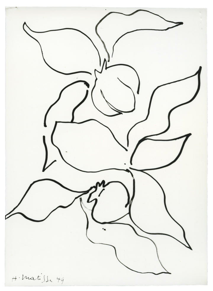 A minimalist black line artwork by Henri Matisse on a warm cream background, with a small handwritten signature and year in the lower left corner.