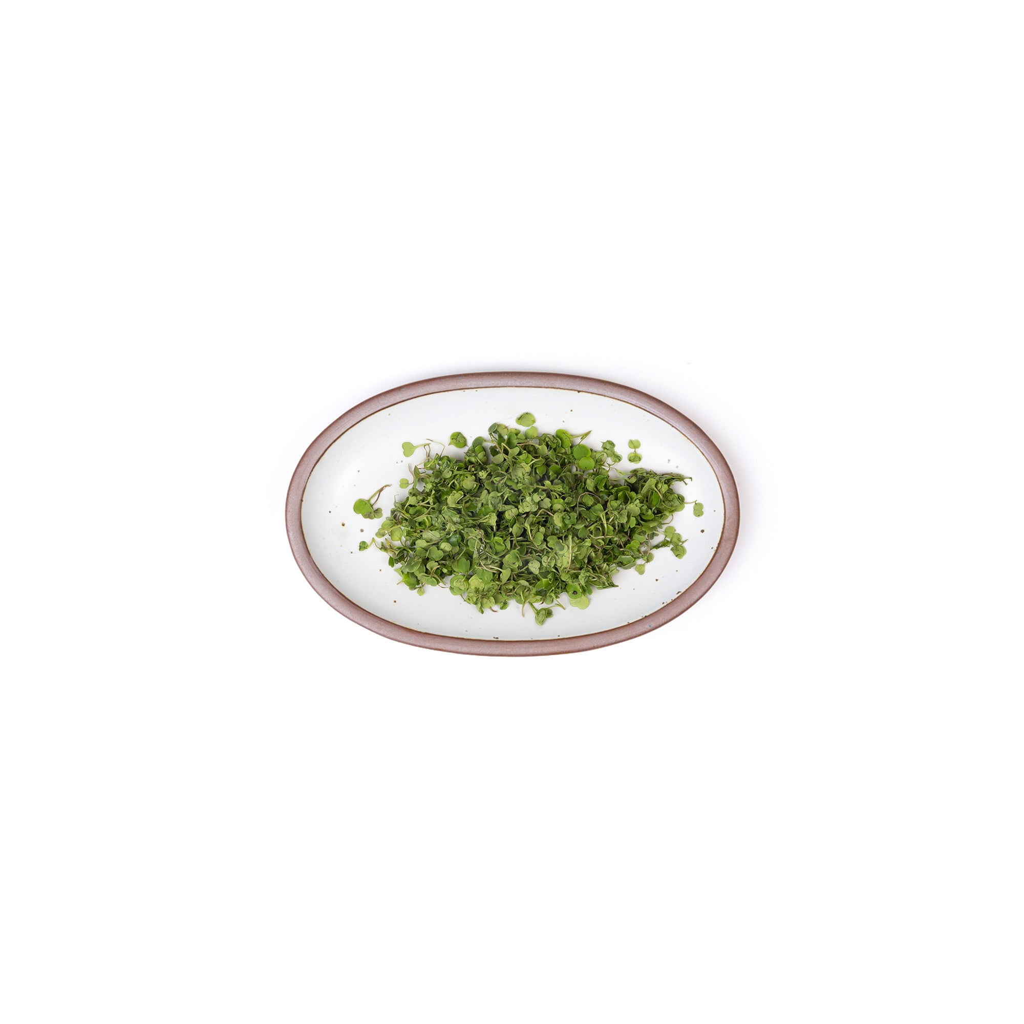 A small oval ceramic platter in a cool white color featuring iron speckles and an unglazed rim, with chopped herbs