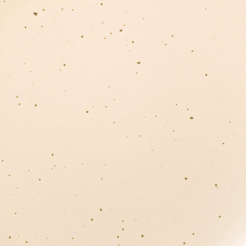 A closeup of a ceramic plate in a cream color with iron speckles throughout