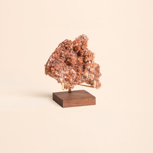 Aragonite displayed on a wood display stand with brass prongs.
