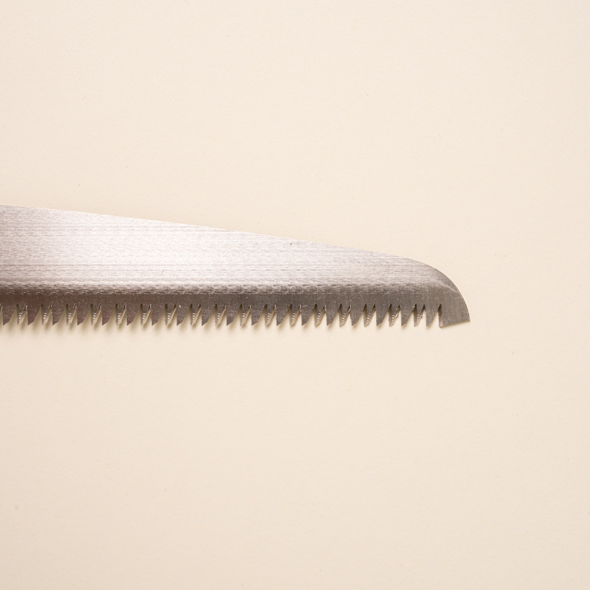 Closeup of the blade of a garden pruning saw.