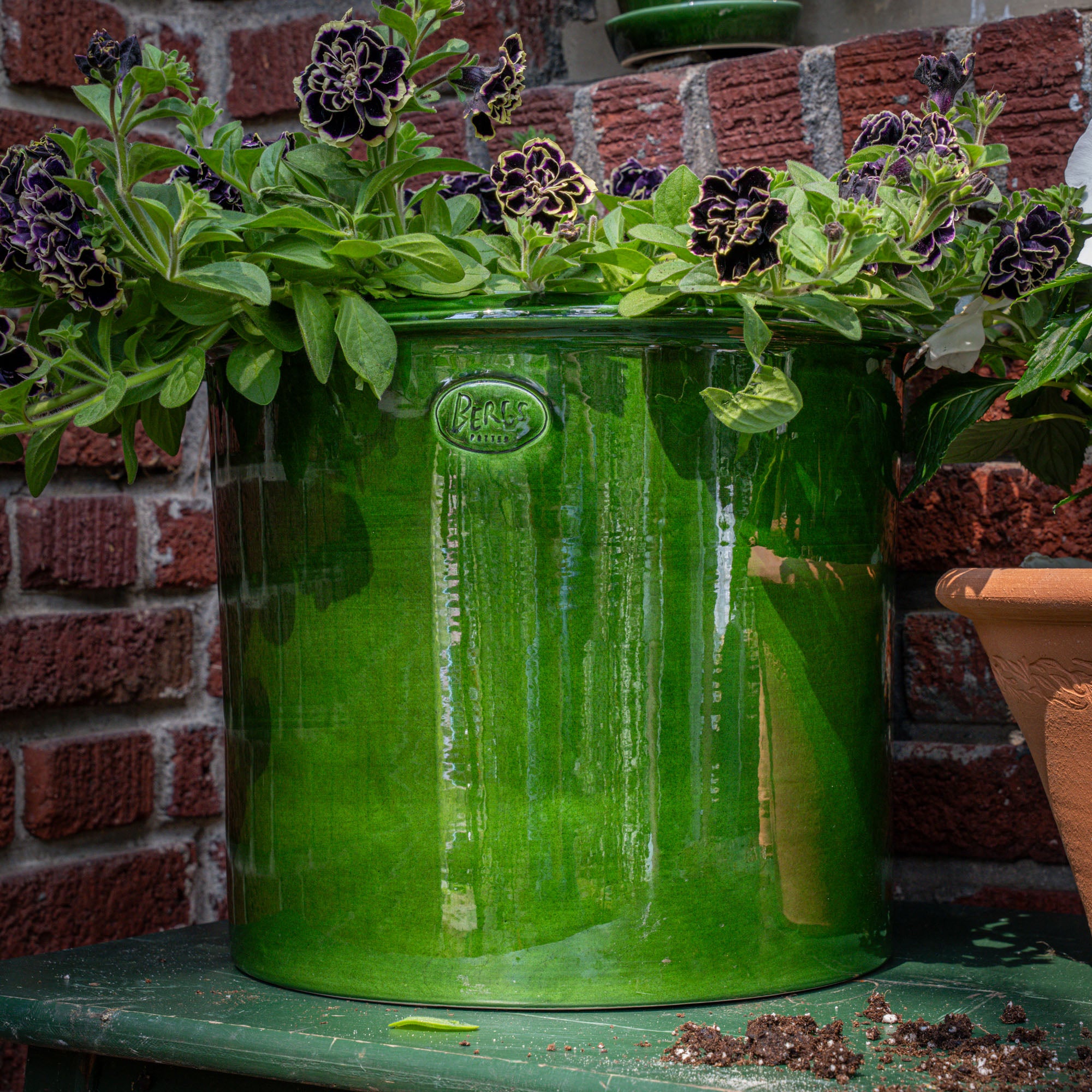 A large glossy green ceramic planter filled with dark purple flowers and green foliage, set outdoors against a brick wall.