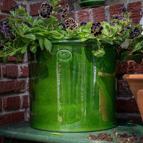 A large glossy green ceramic planter filled with dark purple flowers and green foliage, set outdoors against a brick wall.