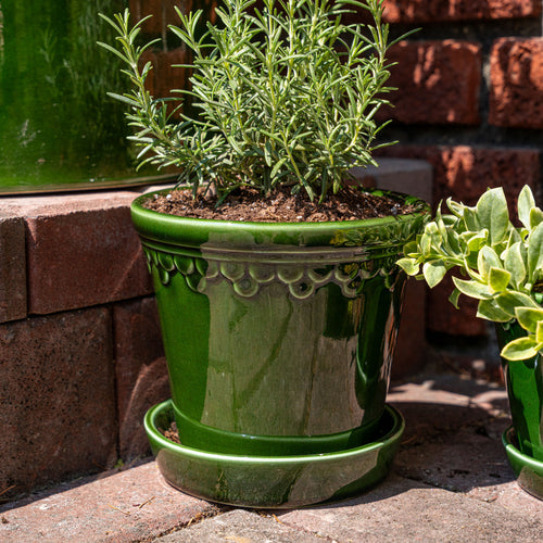A potted rosemary plant in a glossy green ceramic pot, sitting outdoors against a brick wall.
