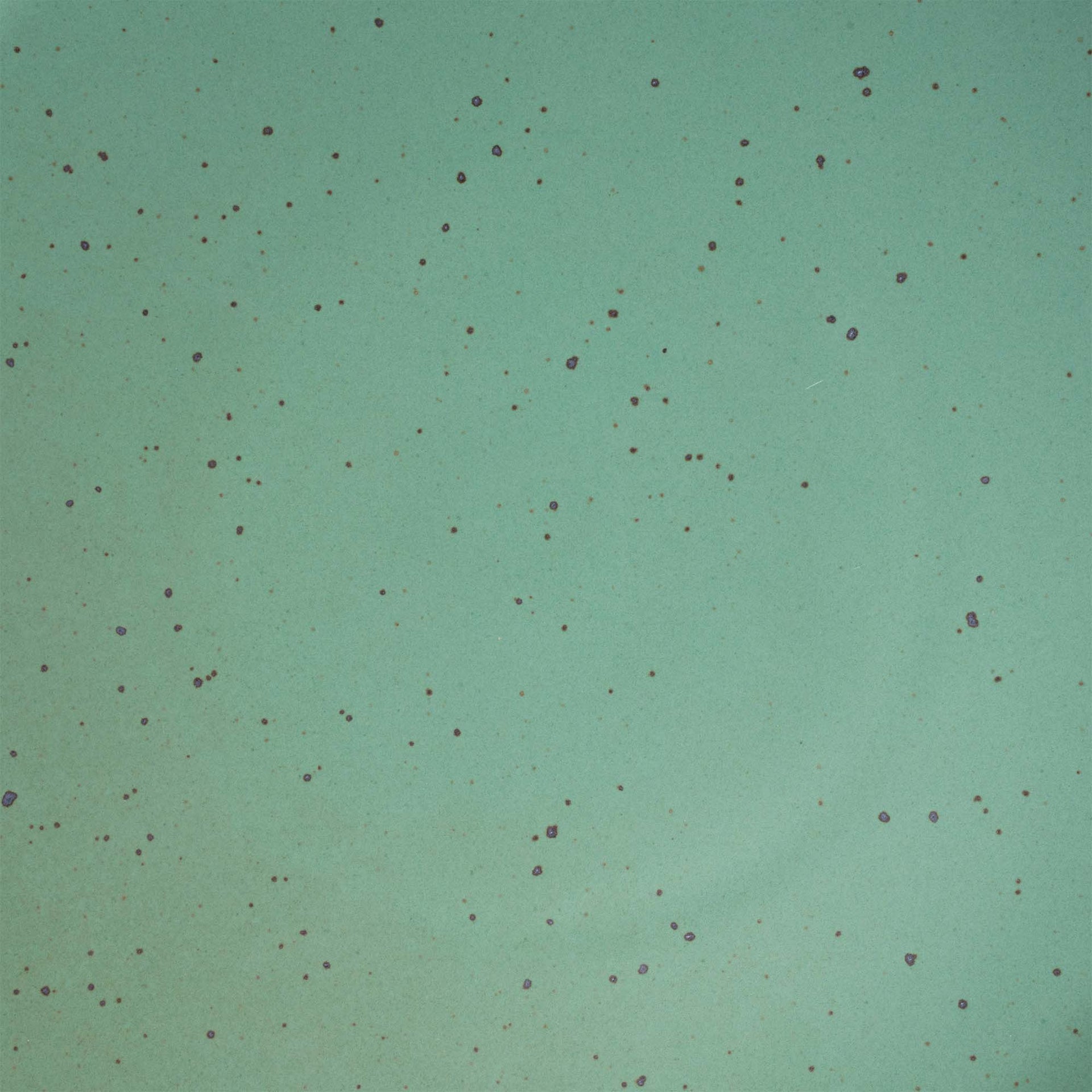 A close up of a viridian green speckled ceramic glaze