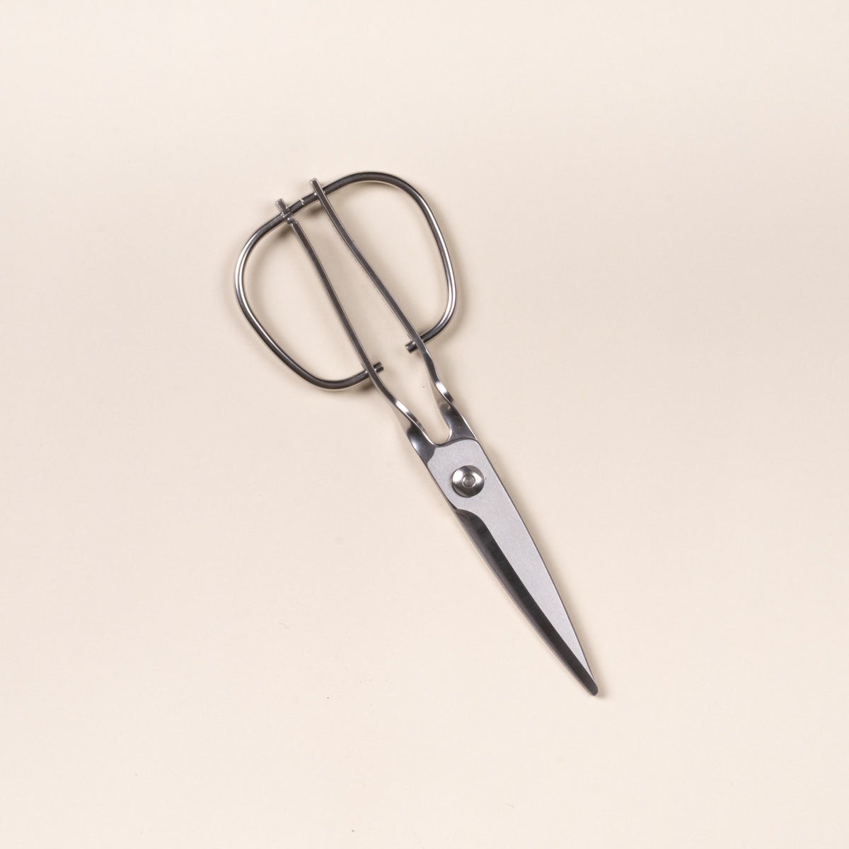 Closed stainless steel kitchen scissors with a looped handle, on a light neutral background.