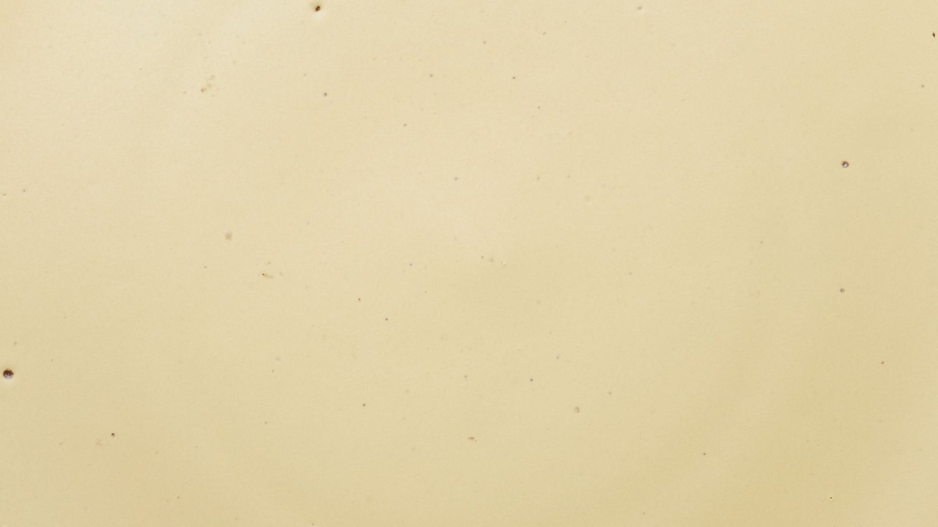 A closeup of a ceramic plate in a light butter yellow color with subtle iron speckles throughout