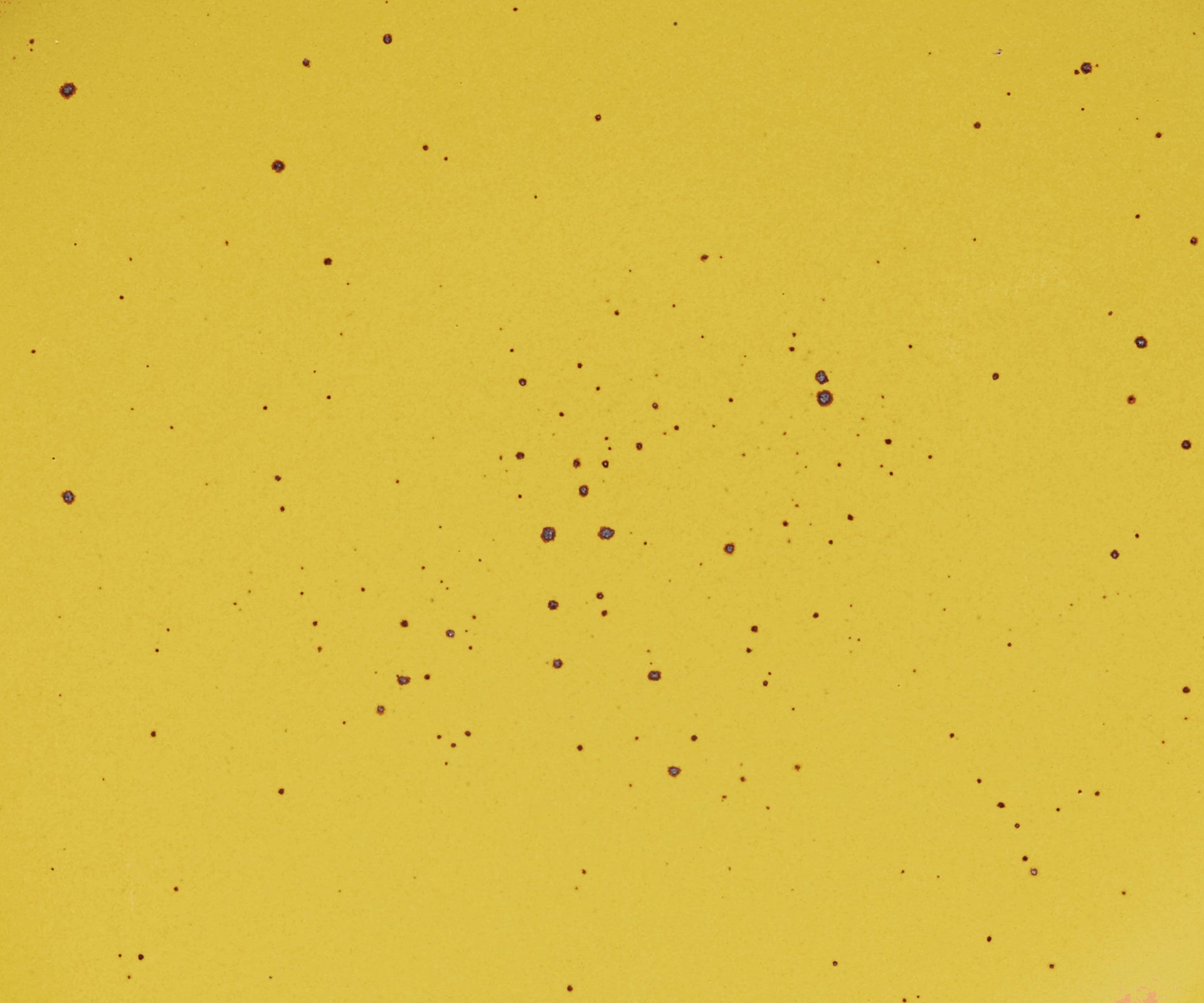 A closeup of a ceramic plate in a bright yellow color with iron speckles throughout