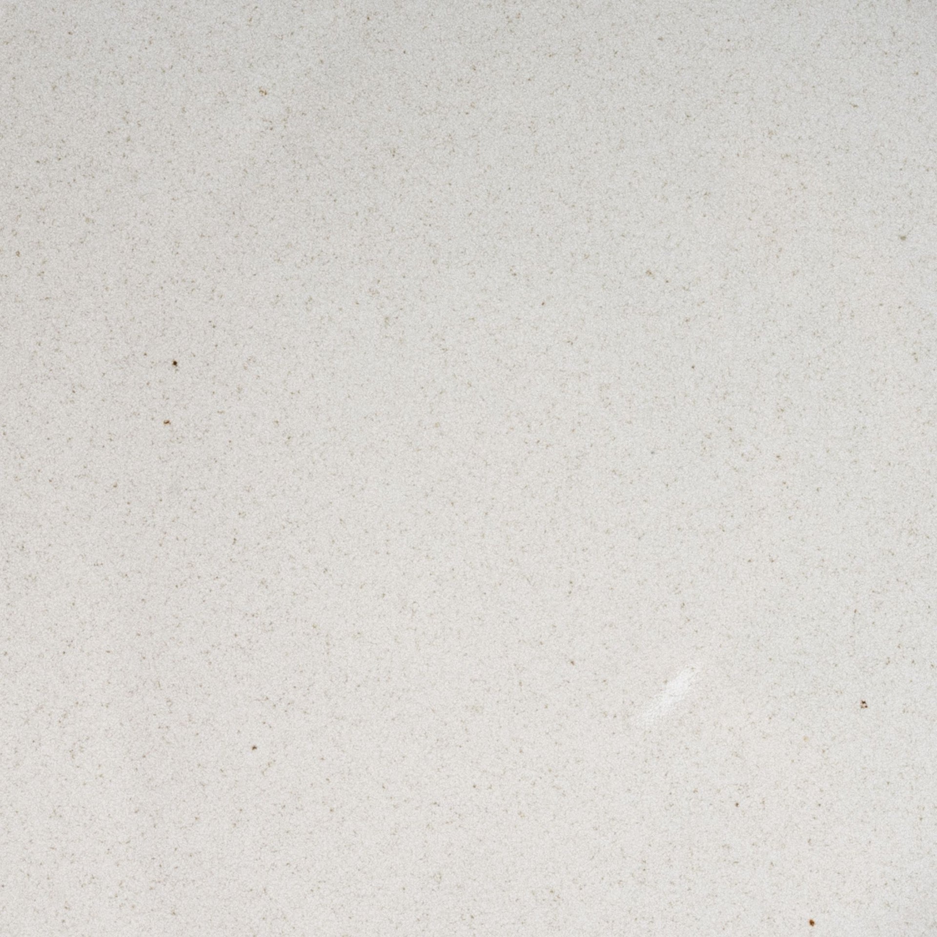 A closeup of a ceramic plate in a reflective icy white color with minimal iron speckles throughout