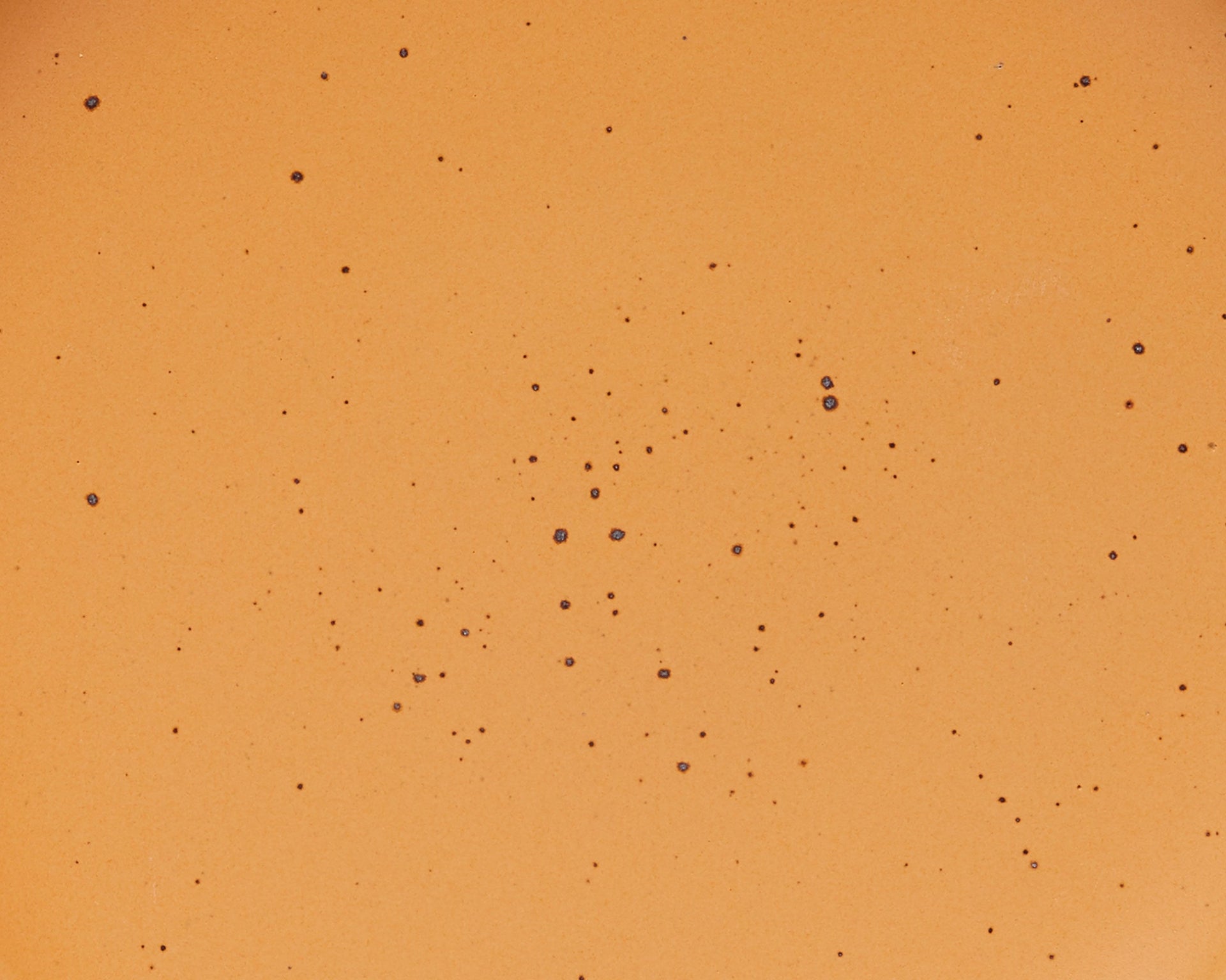 A closeup of a ceramic plate in a muted warm orange color with iron speckles throughout