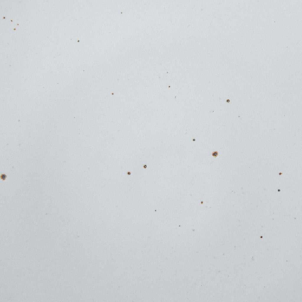 A closeup of a ceramic plate in a cool white color with iron speckles throughout