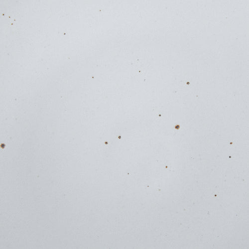 A closeup of a ceramic plate in a cool white color with iron speckles throughout