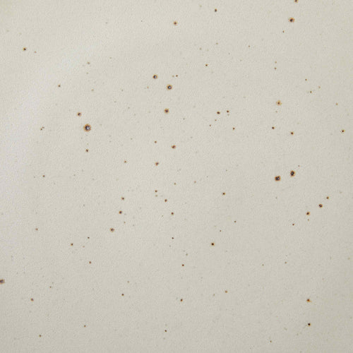 A closeup of a ceramic plate in a warm off-white color featuring iron speckles