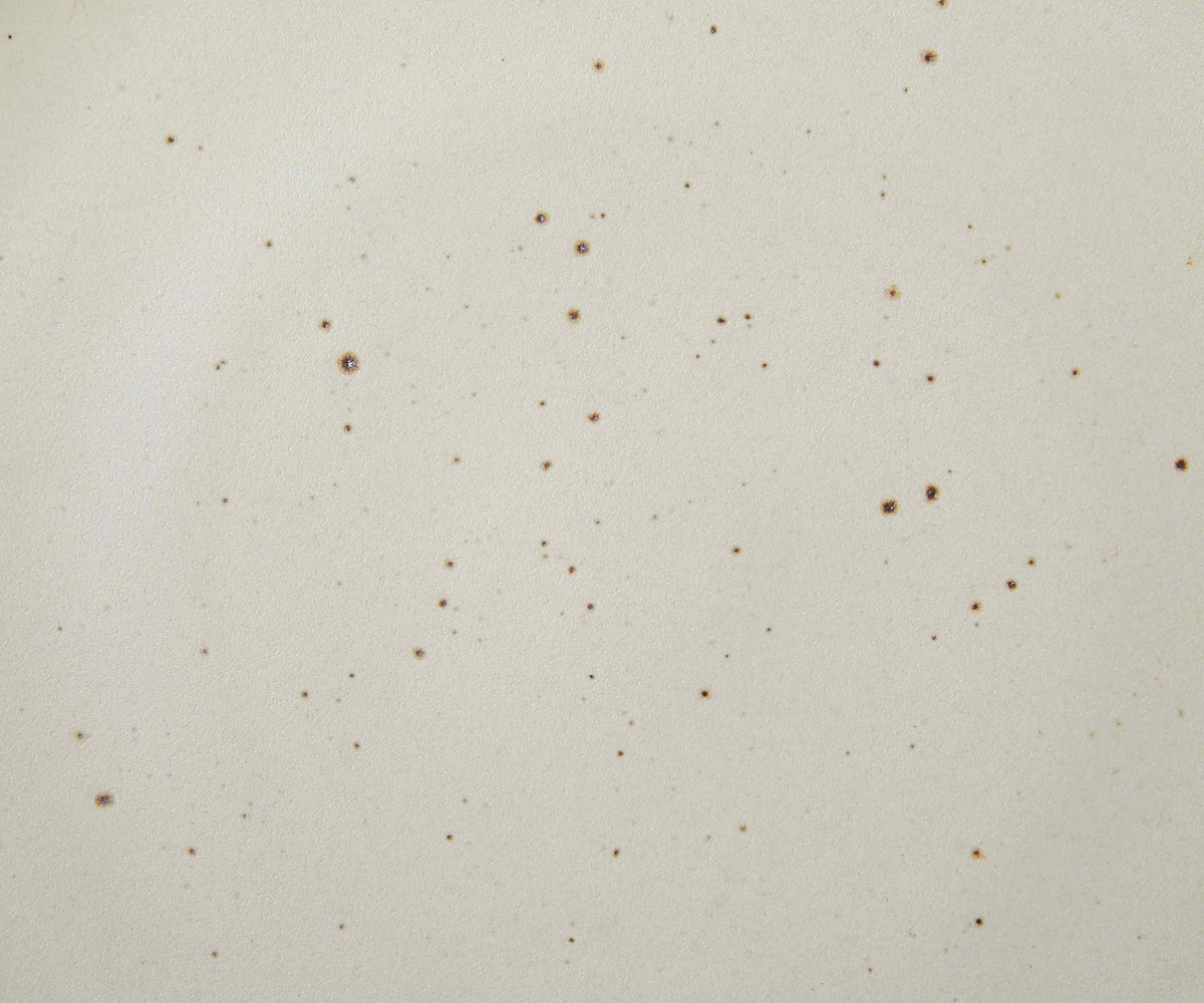 A closeup of a ceramic plate in a warm off-white color featuring iron speckles