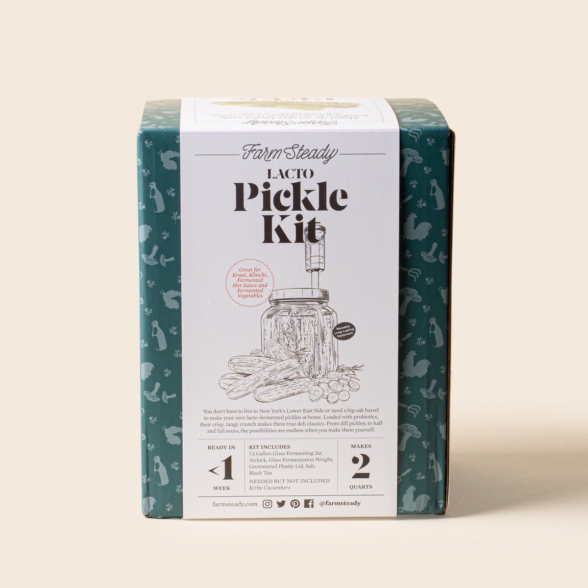 Back of the FarmSteady Lacto Pickle Kit box, showing kit details, included items, and instructions for making fermented pickles and vegetables.
