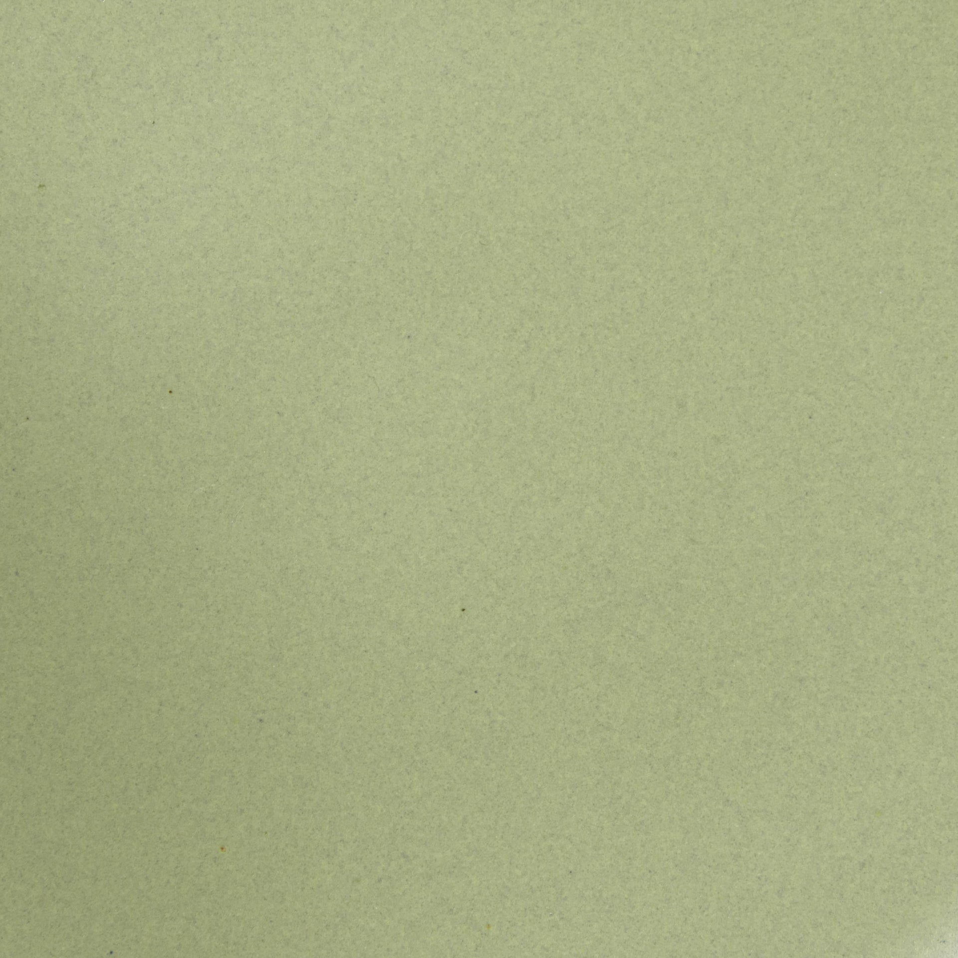 A closeup of a ceramic plate in a calming sage green color with a few subtle iron speckles throughout