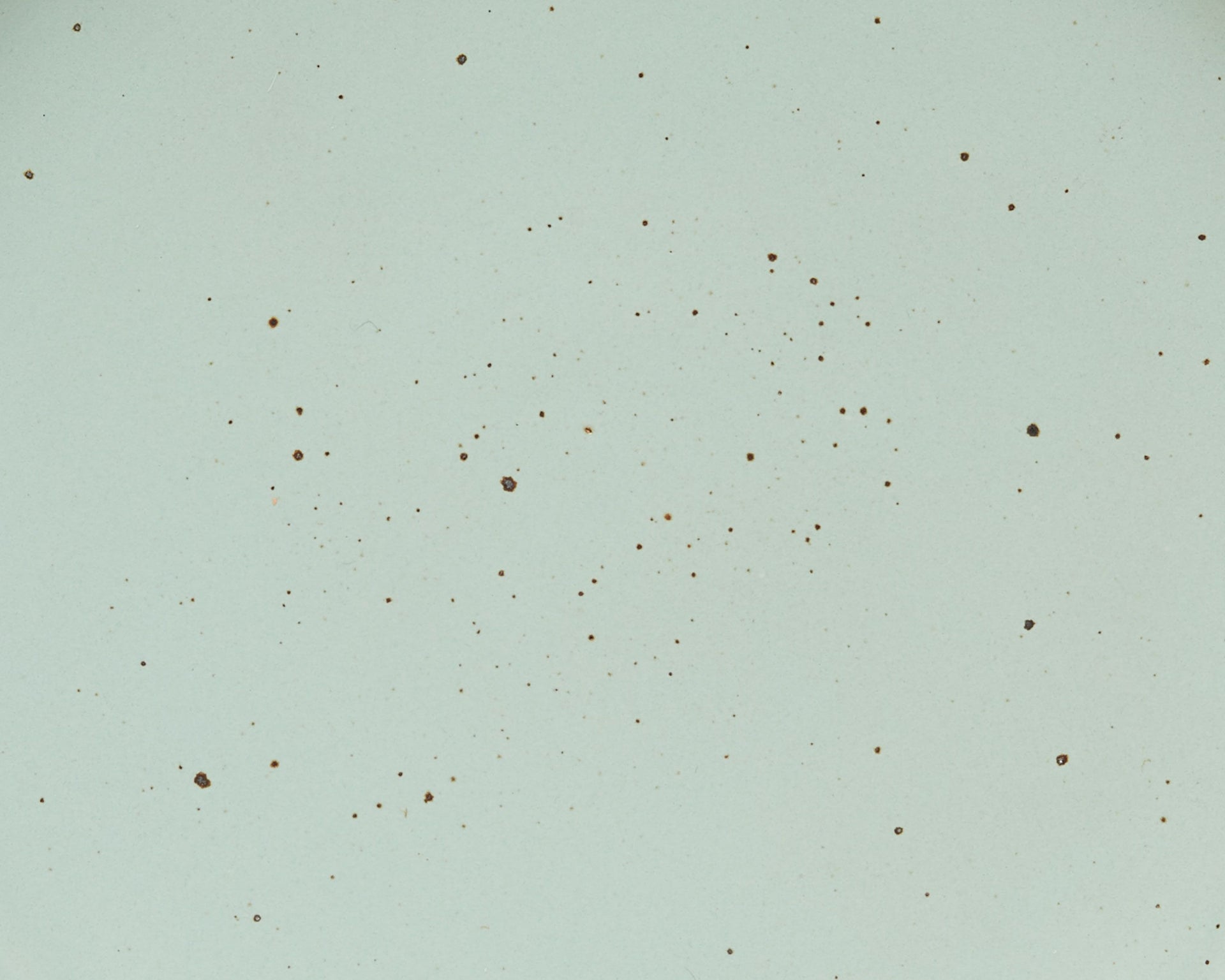 A closeup of a ceramic plate in a soft light aqua color with iron speckles throughout