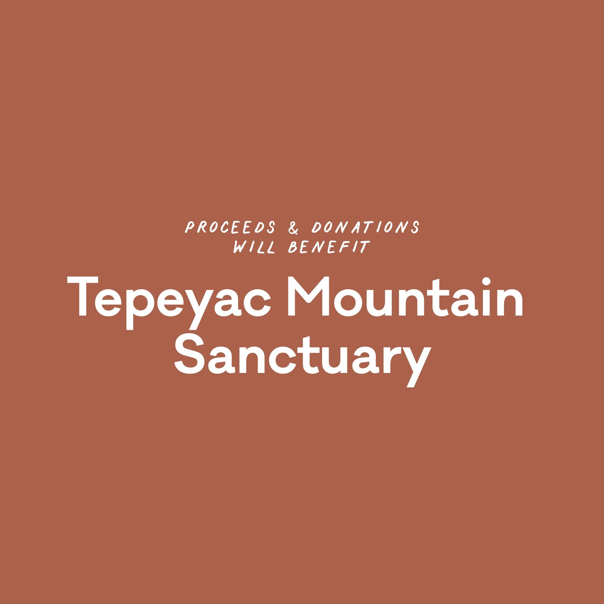 A graphic that reads "Proceeds & Donations will benefit Tepeyac Mountain Sanctuary"