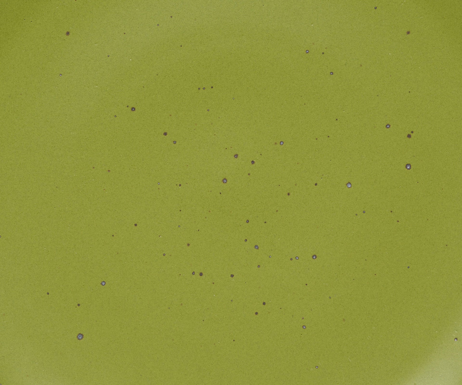 A closeup of a ceramic plate in a warm fern green color with iron speckles throughout